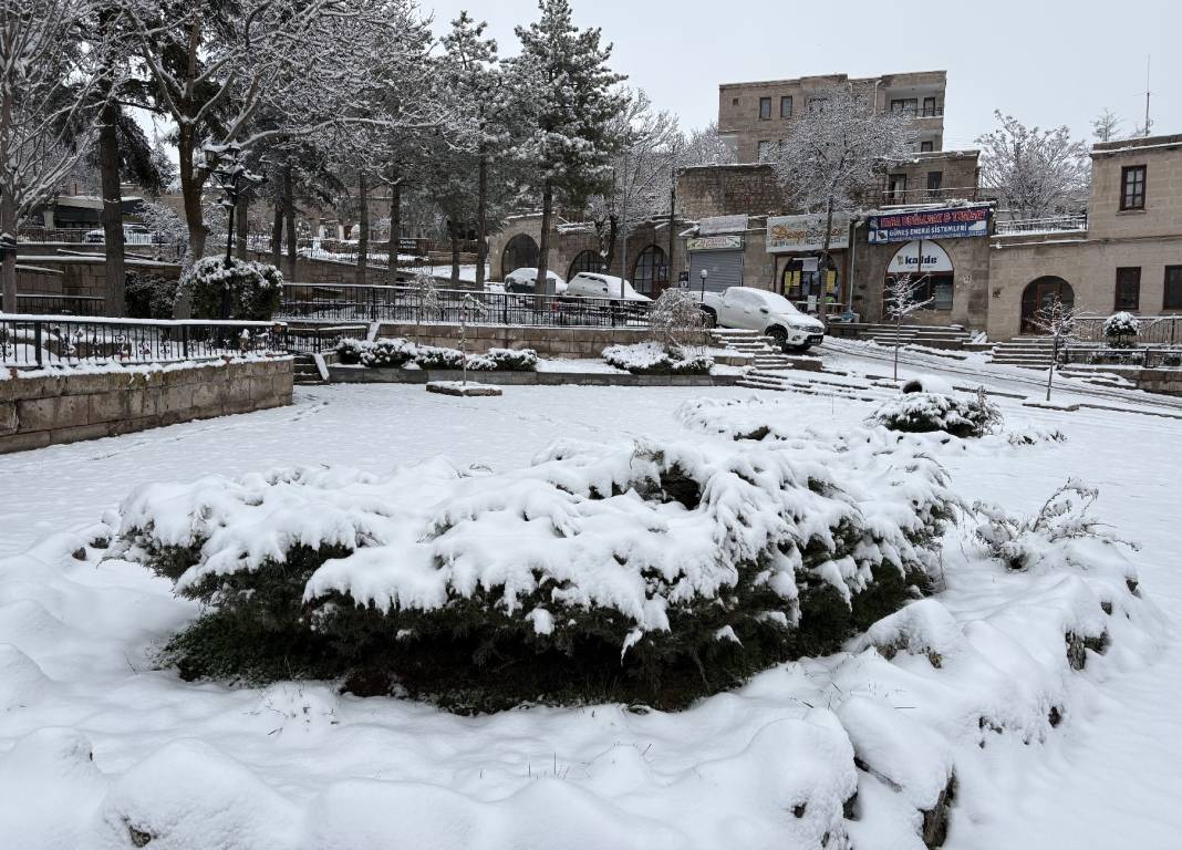 Vatandaş hem sevindi, hem üzüldü! Aksaray'da çiçek açan ağaçlar beyaza büründü 5